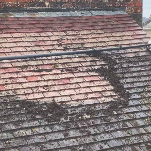 WhatsApp Image 2023-11-30 at 19.51.59_8dd74732